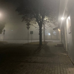 _  samples                        action