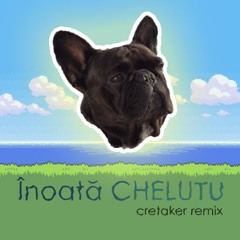 Inoata CHELUTU (Cretaker remix)
