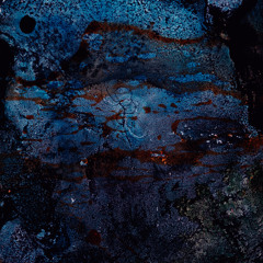 Blue-faced Honeyeater