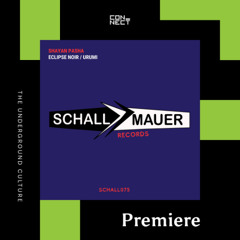 PREMIERE: Shayan Pasha - Eclipse Noir [Schallmauer Records]