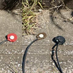 JrF c-ceries+ contact mic examples