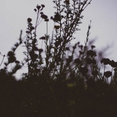 What If You Fly - Pedro Janela & ena b.