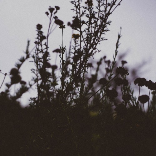 What If You Fly - Pedro Janela & ena b.