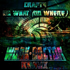 Crafty - Do What (Do Where) (Wook Doctor Remix)