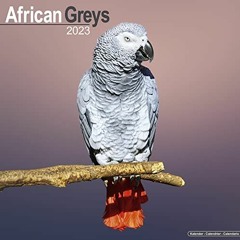 [View] [EBOOK EPUB KINDLE PDF] African Grey Calendar - African Grey Parrot Calendar -