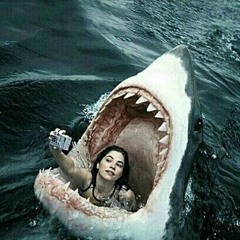 🌊🌊