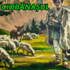 TRĂSNET  Ciobănașul