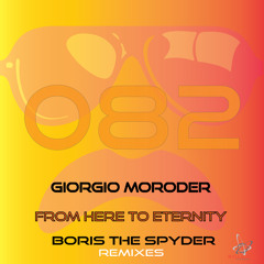 From Here to Eternity (Boris The Spyder Dub Fusion Remix)