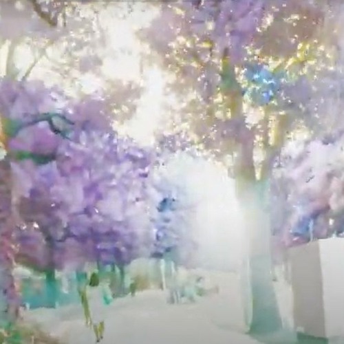 惨敗アシッド / Dismal Failure Acid