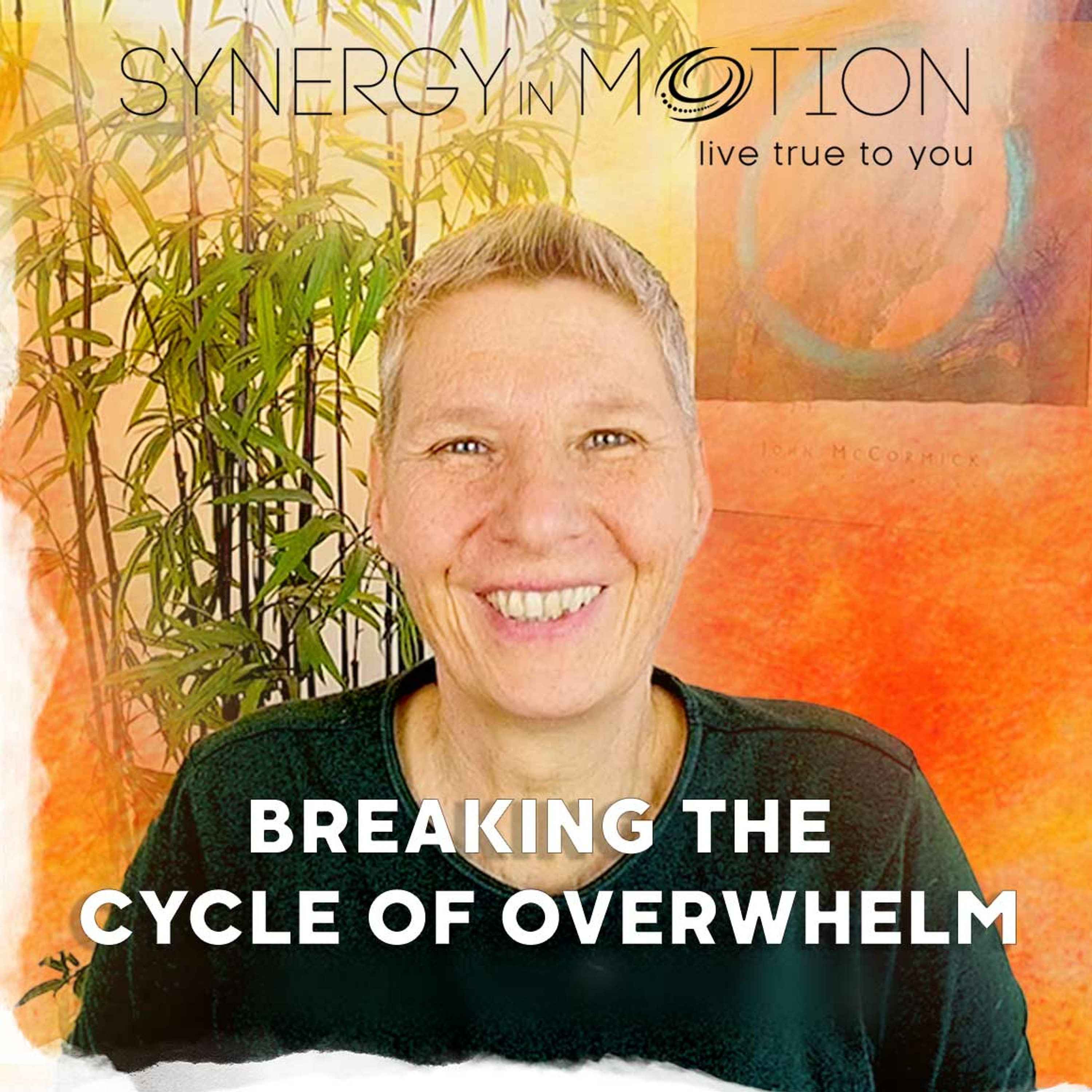 Breaking The Cycle Of Overwhelm - Hexagram 42 episode artwork
