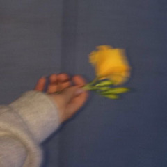 bloom