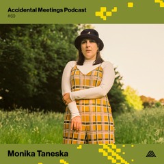 AM Podcast #69 - Monika Taneska