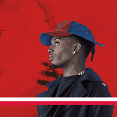 playboi carti x zanim pójdę