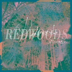 illexotic - Redwoods