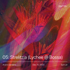 Avant Gardens 05: Strelitzia [Lychee live at Bossa]