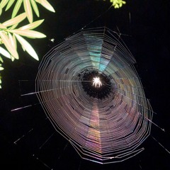 vino - Aint No Way In Hell [prod. vain]