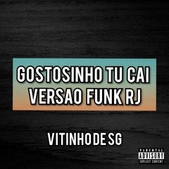 GOSTOSINHO TU CAI VERSÃO RJ [ DJ VITINO DE SG ] TIK TOK