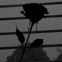 Black Rose ft ( Mc.Sun )