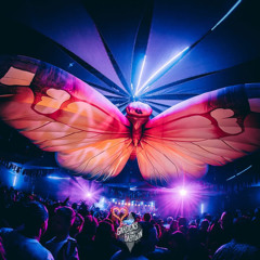 Butterflies in Babylon 25' | Thuishaven