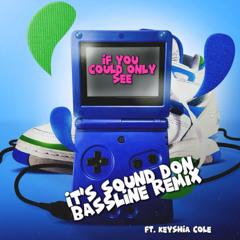 If You Could Only See (Niche Remix)