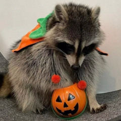 Pumpkin Queen