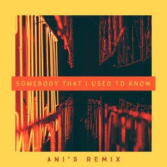 Somebody That I Used To Know (Ani's Remix)
