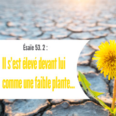 Vendredi 24.10.2025 • Actes 12.20-24 • HÉRODE, ou le strict CONTREXEMPLE de L'ÉVANGILE et de CHRIST