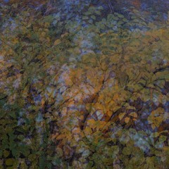 Feel The Earth (Original Mix)