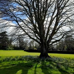 Standing There Alone