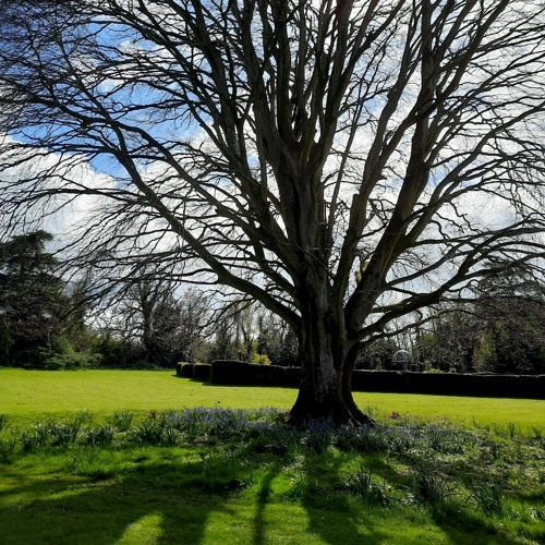 Standing There Alone