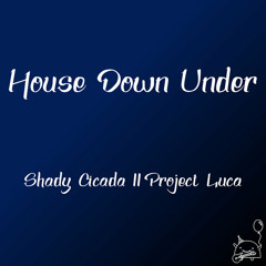 Shady Cicada - House Down Under