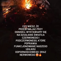 Analityk - cover.wav