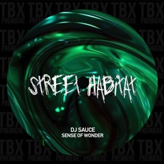 Premiere: DJ Sauce - Tulips In Spring [Street Habitat]