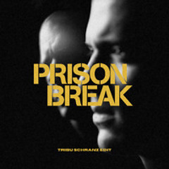 TRIBU - PRISON BREAK (Schranz Edit)