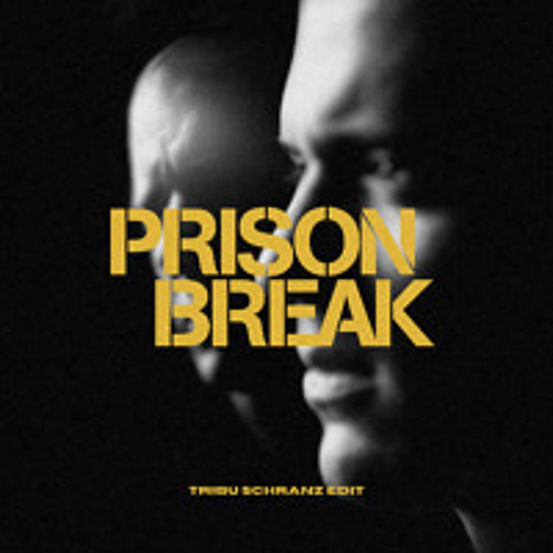 TRIBU - PRISON BREAK (Schranz Edit)