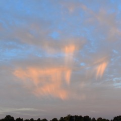 The field is woven // excerpt : first 5 minutes