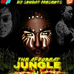 YOUR ALL GENRES DJ DJSNODAT THE AFRO BEAT HR.aif