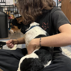 Mr Chase yo bitch freestyle