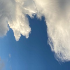 cat is playing sax on this song