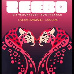 Copy of Zeebo // Live @ Flammable 05.12.2024