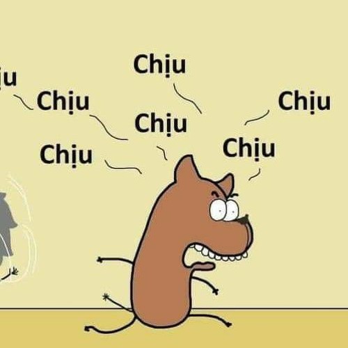 Chỉ Là Ảo Giác - Lynk Lee
