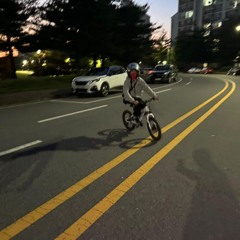 리더 한다고 나대다 잡쓸한 믹셋