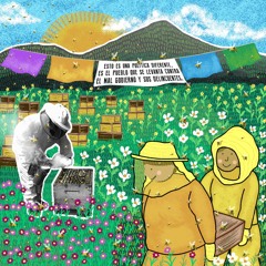 T2 EP7 Michoacán: Nahuatzen, resistencia con sabor a miel
