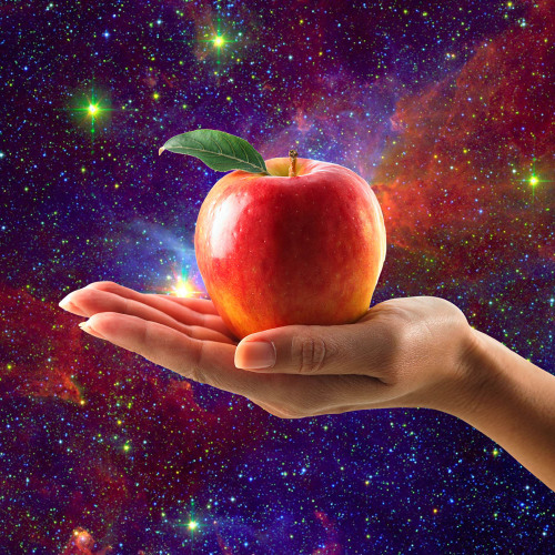 Food Reharmonization Command