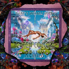 Lil Nas X - THATS WHAT I WANT (Catch Colton Remix)