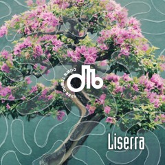 Liserra  / downtempo, baby! / # 45