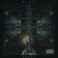 PREMIERE: Dj Puk - Mars (Dan Bay Remix) [Random Collective Records]