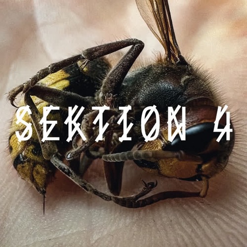 Sektion 4 Hard Techno Mix