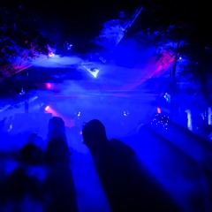 Robert Bratu - live at FUMP In The Forest (Sunday)