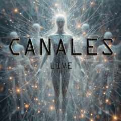 MoisesMx6 - Canales (LIVE)